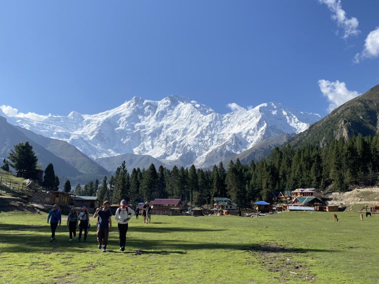 Fairy-Meadows